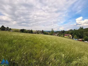 Prodej pozemku pro bydlení, Libňatov, 1680 m2