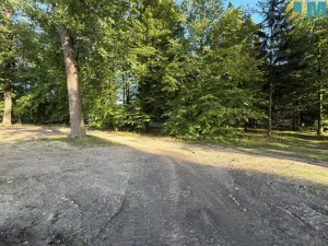 Prodej bytu 2+kk, Býchory, 60 m2