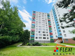 Pronájem bytu 3+1, Orlová - Lutyně, Adamusova, 68 m2