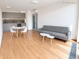 Pronájem bytu 2+kk, Praha - Karlín, Švarcova, 56 m2
