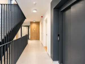 Pronájem bytu 2+kk, Praha - Karlín, Švarcova, 56 m2