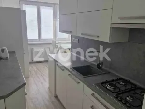 Pronájem bytu 2+1, Staré Město, Kopánky, 55 m2