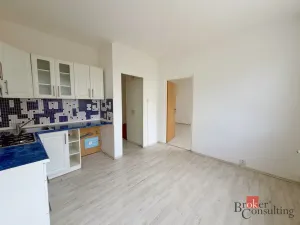 Prodej bytu 1+1, Plzeň - Bolevec, Žlutická, 39 m2