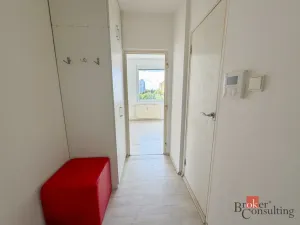 Prodej bytu 1+1, Plzeň - Bolevec, Žlutická, 39 m2