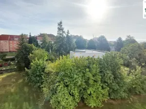 Pronájem bytu 2+1, Cheb, Osvobození, 50 m2
