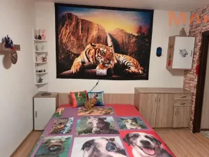 Prodej bytu 1+1, Most, Růžová, 26 m2