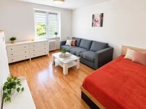 Prodej bytu 1+kk, Ostrava - Zábřeh, Čujkovova, 28 m2