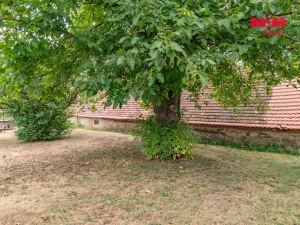 Prodej zemědělské usedlosti, Přešťovice, 100 m2
