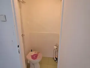 Pronájem bytu 2+1, Říčany, Alšova, 58 m2