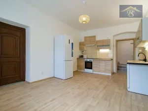 Pronájem bytu 1+1, Ústí nad Labem - Neštěmice, Železná, 57 m2