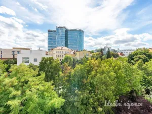 Pronájem bytu 2+kk, Praha, Ohradní, 42 m2