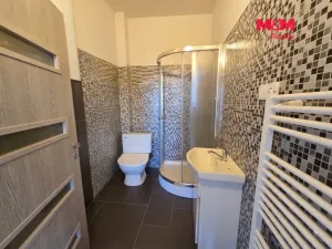 Pronájem bytu 1+1, Krupka - Bohosudov, Horní, 45 m2