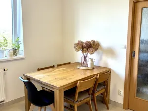 Pronájem bytu 2+1, Brno, Vondrákova, 60 m2
