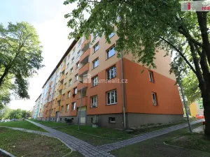 Prodej bytu 1+1, Horní Slavkov, U Lesoparku, 36 m2