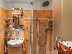 Prodej bytu 3+kk, Praha, Štichova, 56 m2