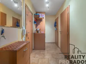 Prodej bytu 3+kk, Praha, Štichova, 56 m2