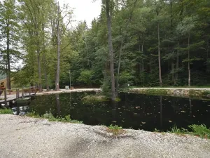 Prodej bytu 1+1, Lipová-lázně, 32 m2