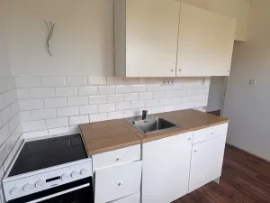Pronájem bytu 2+1, Bílina - Teplické Předměstí, M. Švabinského, 55 m2