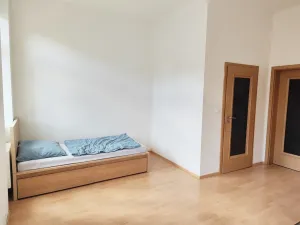 Pronájem bytu 1+kk, České Budějovice - České Budějovice 3, Riegrova, 25 m2