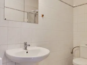 Pronájem bytu 1+kk, České Budějovice - České Budějovice 3, Riegrova, 25 m2