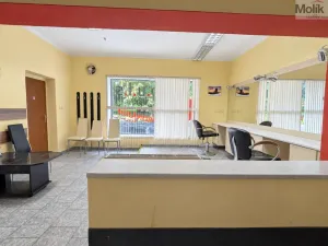 Pronájem obchodního prostoru, Krupka, Poštovní, 38 m2