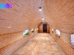 Prodej vinného sklepa, Dyjákovice, 180 m2