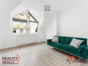 Prodej bytu 3+kk, Praha - Žižkov, Na chmelnici, 101 m2