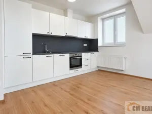 Pronájem bytu 2+kk, Olomouc - Hodolany, Holická, 52 m2
