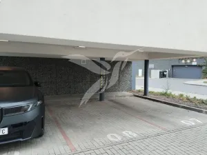 Pronájem garáže, Plzeň, Pallova, 205 m2