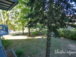 Pronájem bytu 2+1, Brno, Jílová, 54 m2