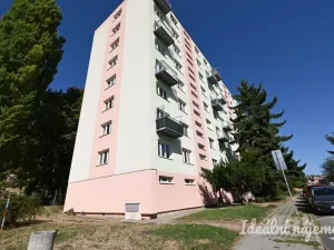 Pronájem bytu 2+1, Brno, Jílová, 54 m2