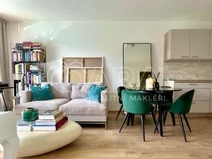 Pronájem bytu 2+kk, České Budějovice - České Budějovice 3, Nová, 73 m2