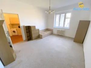 Pronájem bytu 1+kk, Praha - Nusle, Na Veselí, 30 m2