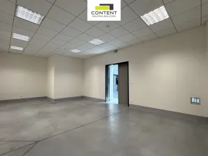 Pronájem skladu, Plzeň - Skvrňany, Ke Karlovu, 1060 m2