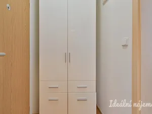 Pronájem bytu 1+kk, Brno, Hostinského, 25 m2