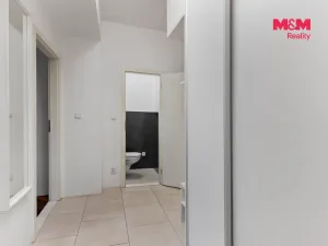 Prodej bytu 2+kk, Praha - Žižkov, Bořivojova, 54 m2