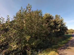 Prodej louky, Kunčice pod Ondřejníkem, 2790 m2