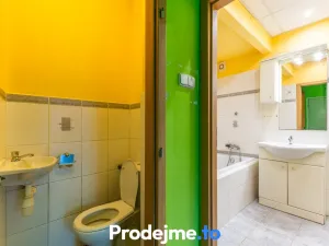 Prodej bytu 1+1, Brno - Černá Pole, Fišova, 53 m2