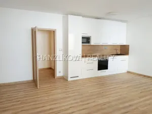 Pronájem bytu 1+kk, České Budějovice - České Budějovice 2, České Vrbné, 40 m2