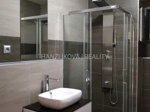 Pronájem bytu 1+kk, České Budějovice - České Budějovice 2, České Vrbné, 40 m2
