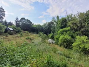 Prodej chaty, Malečov - Horní Zálezly, 16 m2