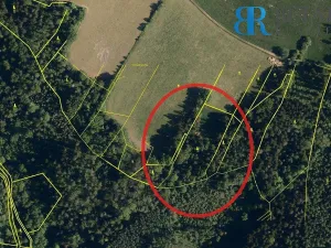 Prodej pole, Hranice - Hranice IX-Uhřínov, 30000 m2