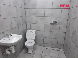 Pronájem bytu 1+kk, Verušičky, 28 m2
