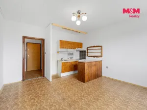 Prodej bytu 2+kk, Ústí nad Labem - Severní Terasa, Šrámkova, 40 m2