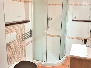 Pronájem bytu 1+kk, České Budějovice, Tylova, 34 m2