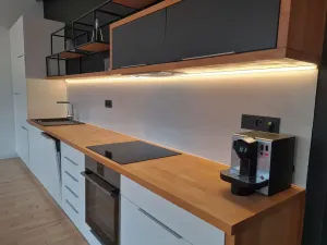Pronájem bytu 3+kk, Plzeň, Zikmunda Wintra, 95 m2