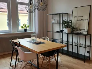 Pronájem bytu 3+kk, Plzeň, Zikmunda Wintra, 95 m2