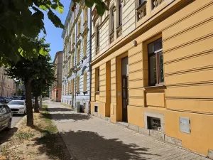 Pronájem bytu 3+kk, Plzeň, Zikmunda Wintra, 95 m2