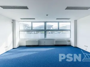 Pronájem kanceláře, Brno - Zábrdovice, Plynárenská, 710 m2