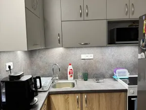 Pronájem bytu 1+kk, Olomouc, Synkova, 34 m2